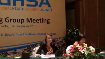 Suomi jatkaa terveysjärjestelmien maa-arviointiprosessin johdossa