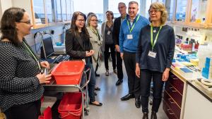 WHO published a report on Finland’s health security